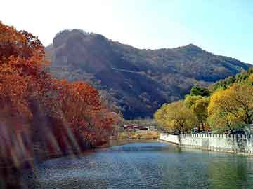 新澳天天开奖资料大全旅游团，若能相依